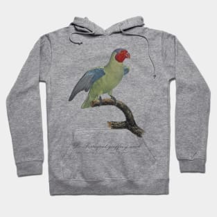 Red Cheeked Parrot / Le Perroquet Geoffroy Male - 19th century Jacques Barraband Illustration Hoodie